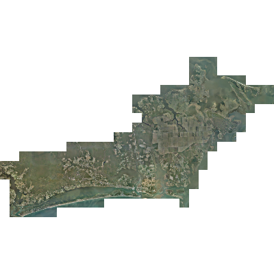 Export Image