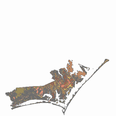 Export Image