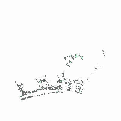 Export Image