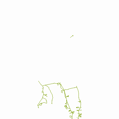 Export Image